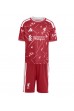 Liverpool Federico Chiesa #14 Babyklær Hjemme Fotballdrakt til barn 2026-27 Korte ermer (+ Korte bukser)